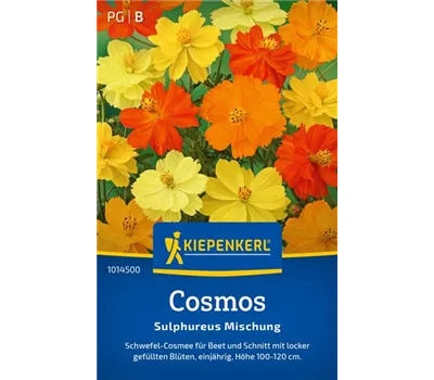 Cosmos Sulphureus Mischung