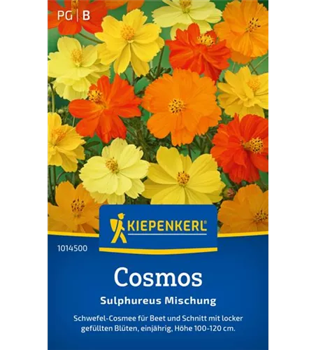 Cosmos Sulphureus Mischung
