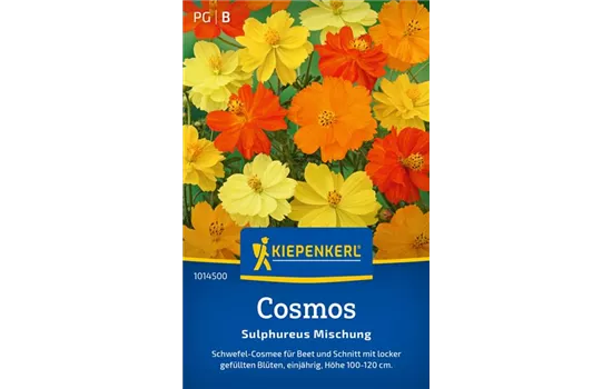 Cosmos Sulphureus Mischung