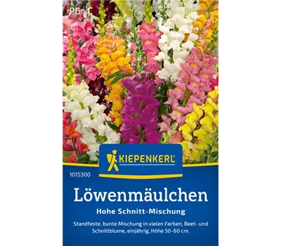 Löwenmäulchen Schnitt-Mischung