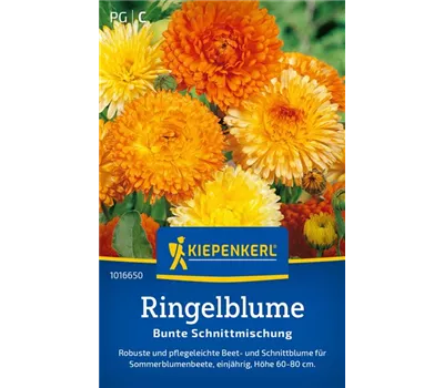 Ringelblume Prachtmischung