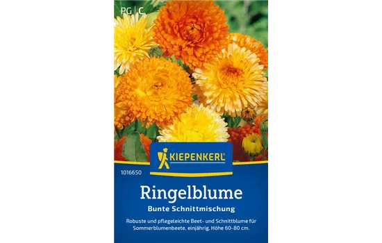 Ringelblume Prachtmischung