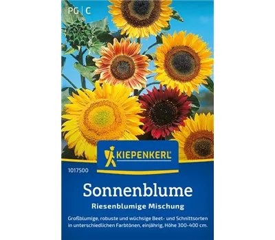 Sonnenblume Riesenblumige Mischung
