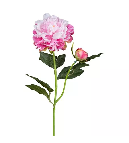 Peonie 54cm rosa