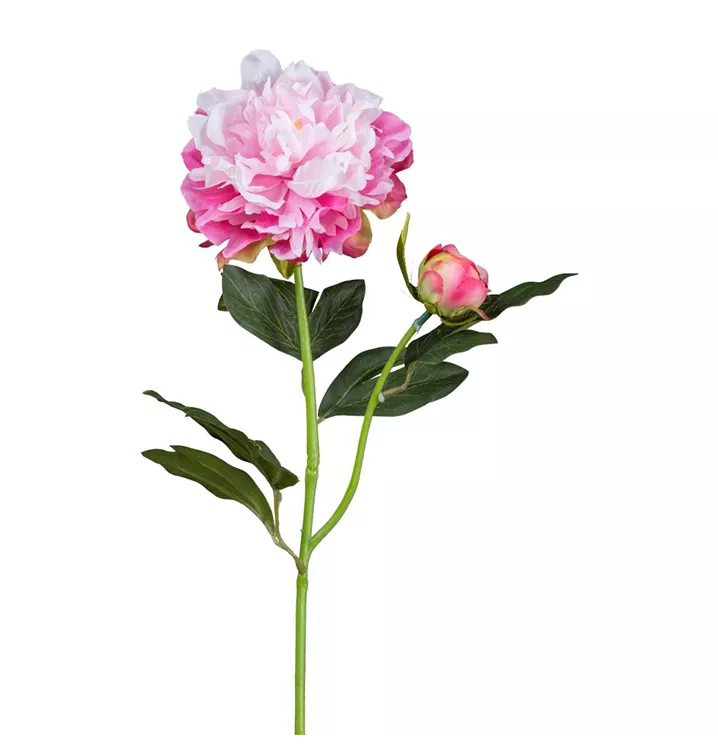 Peonie 54cm rosa