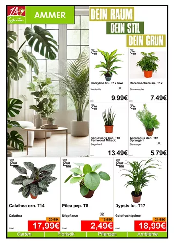 Unsere Aktuelle Monats-Aktion gültig im Juli