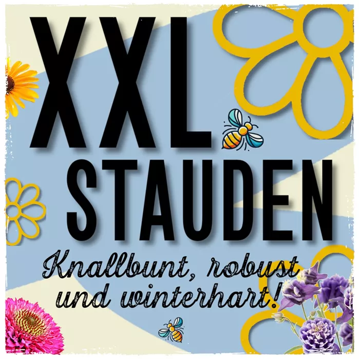 XXL Stauden Aktion 1x1 - 1.jpg