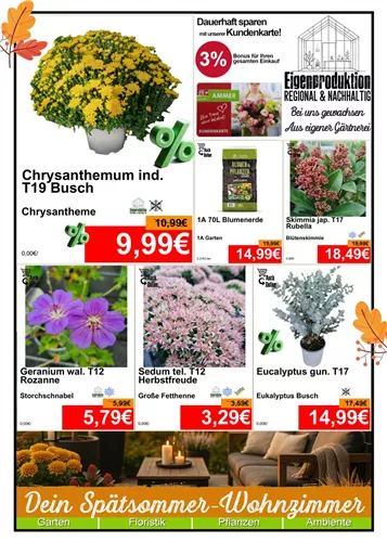 Unsere Aktuelle Monats-Aktion gültig im Oktober