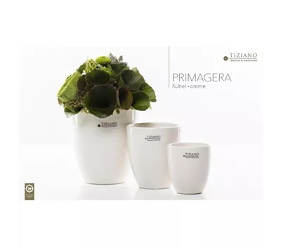 Blumentopf Primagera weiß-creme