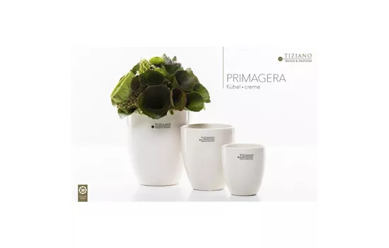 Blumentopf Primagera weiß-creme