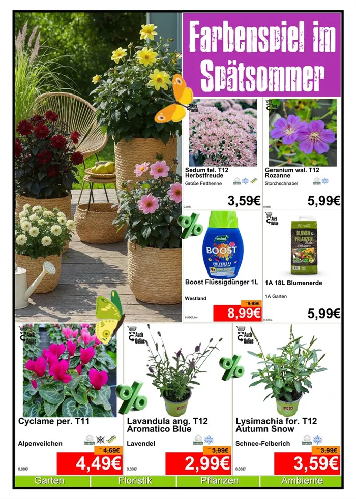 Saisonpflanzen - Din A4 Beilage - 4 x 572px + 3x 779px - 1.jpg