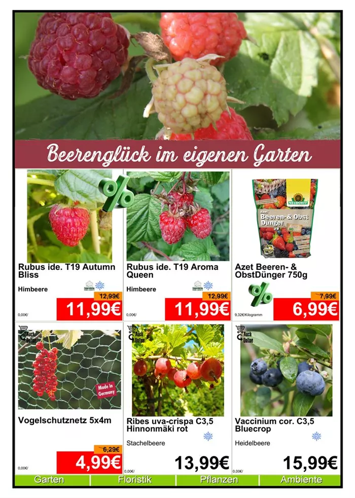 Beerenobst - Din A4 Beilage - 6 x 779px - 1.jpg
