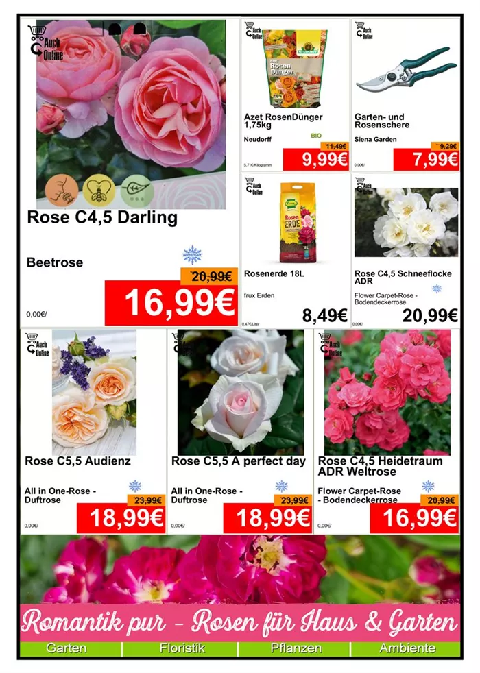 Rosen - Din A4 Beilage - 1x1174 + 3 x 779 + 4x587 - 1.jpg