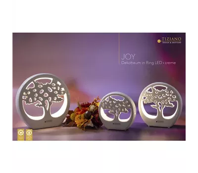Dekobaum Joy im Ring