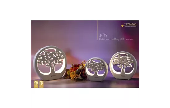 Dekobaum Joy im Ring