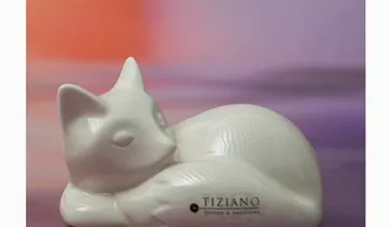 Zum Vergrößern klicken Bildvorschau