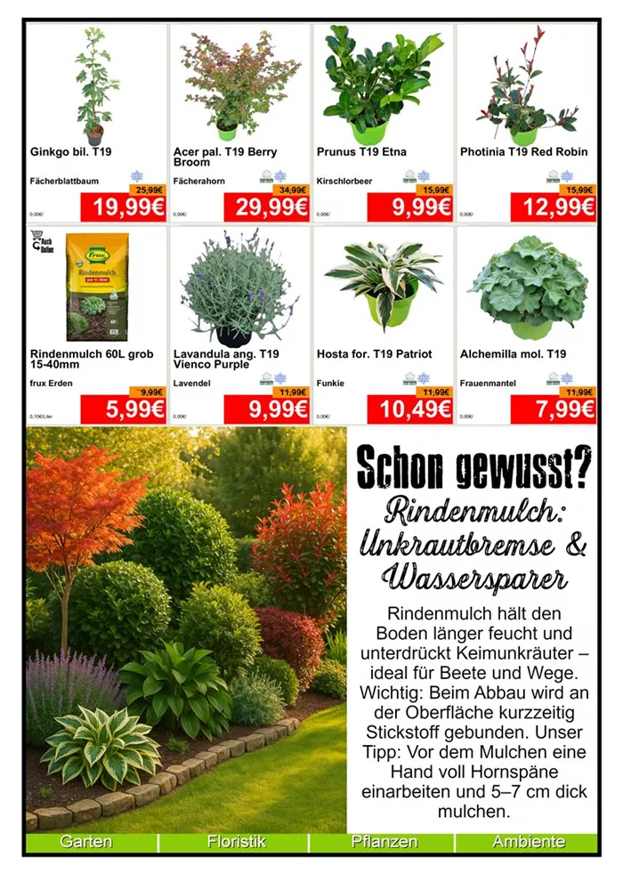 Baumschule - Din A4 Beilage - 8x587 - 1.jpg