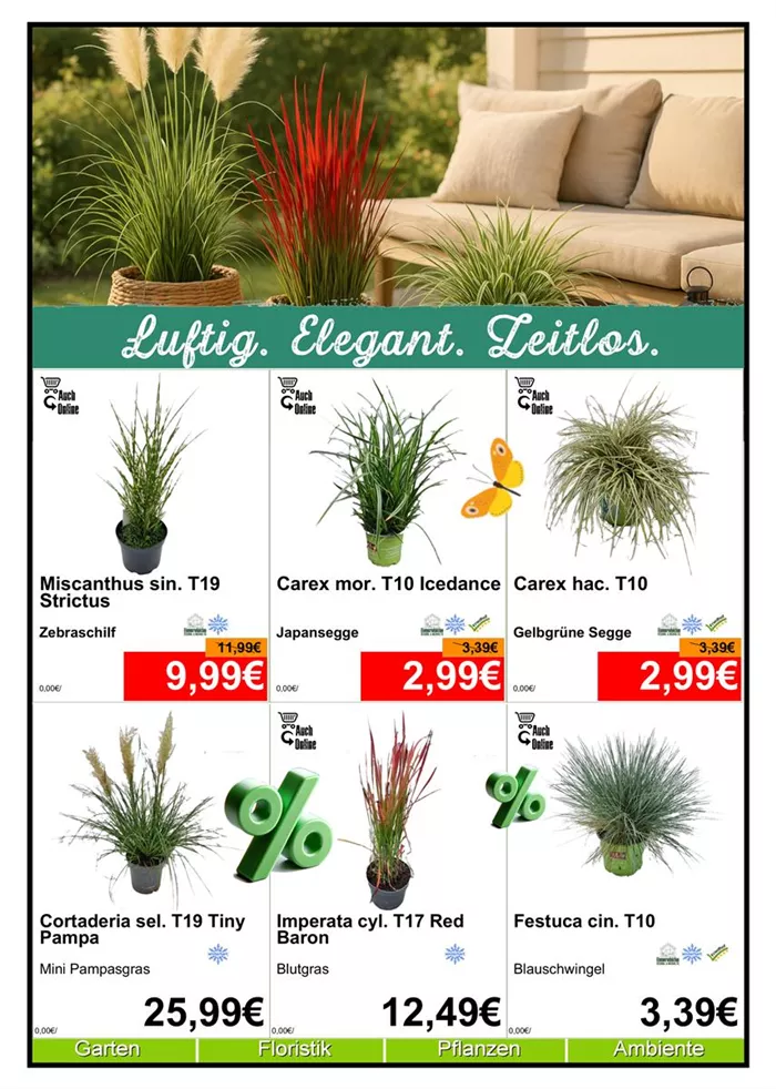 Gräser - Din A4 Beilage - 6 x 779px - 1.jpg