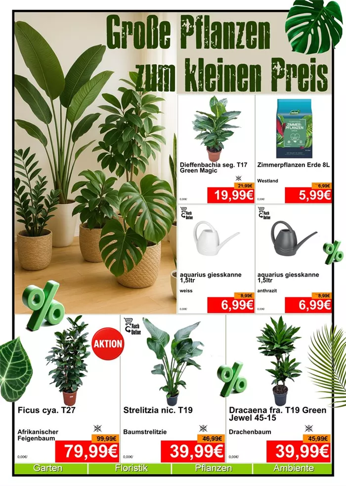 Zimmerpflanze - Din A4 Beilage - 4 x 572px + 3x 779px - 1.jpg Zimmerpflanze - Din A4 Beilage - 4 x 572px + 3x 779px - 1.jpg