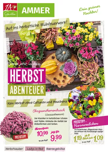 Unsere Aktuelle Prospekt Werbung