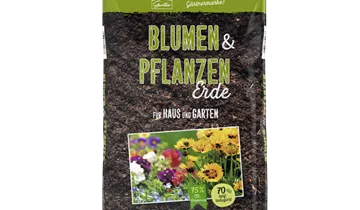 Zum Vergrößern klicken Bildvorschau