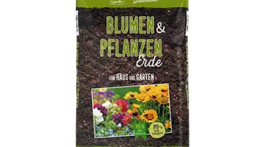 Zum Vergrößern klicken Bildvorschau