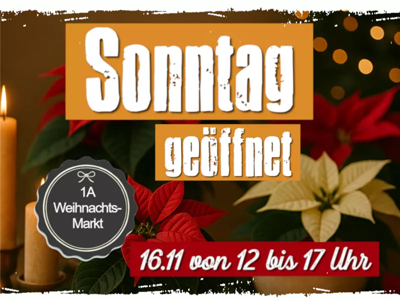 ⭐ Verkaufsoffener Sonntag - Martinimarkt ⭐