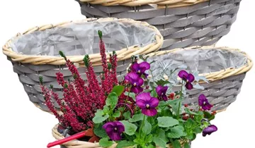 1A Garten Ammer 1A Garten Ammer