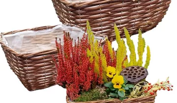 1A Garten Ammer 1A Garten Ammer