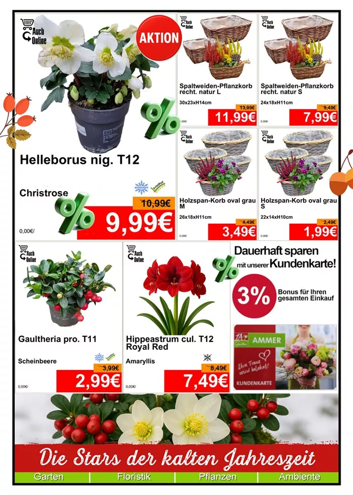 Saisonpflanzen - Din A4 Beilage - 1x1174 + 3 x 779 + 4x587 - 1.jpg