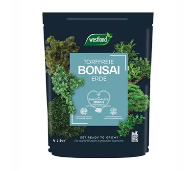 Bonsai Erde 4L