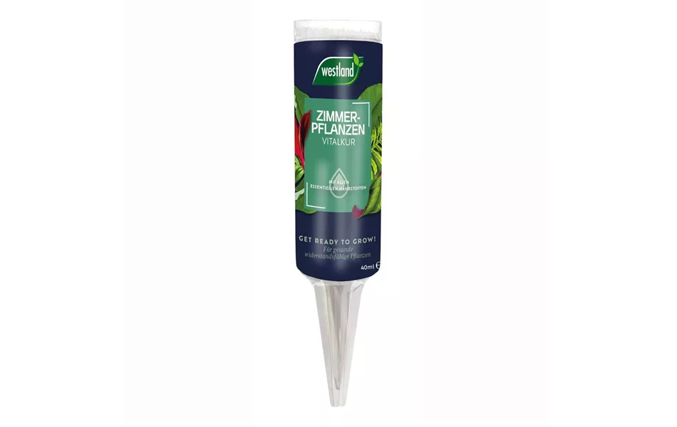 Vitalkur für Zimmerpflanzen