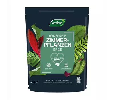 Zimmerpflanzen Erde