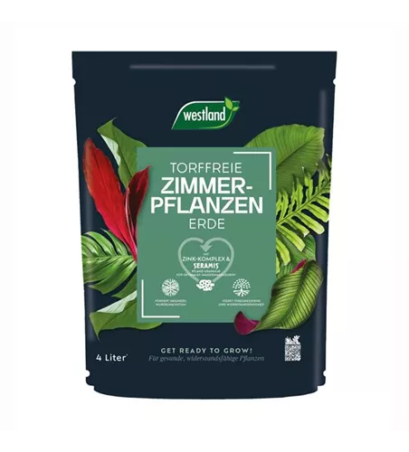 Zimmerpflanzen Erde