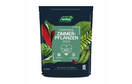 Zimmerpflanzen Erde