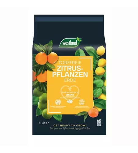 Zitrus Erde