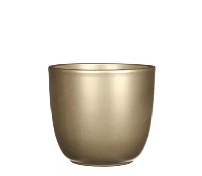Tusca Übertopf Gold
