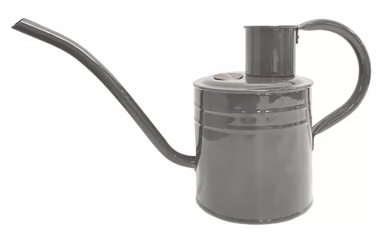 Vintage Gießkanne