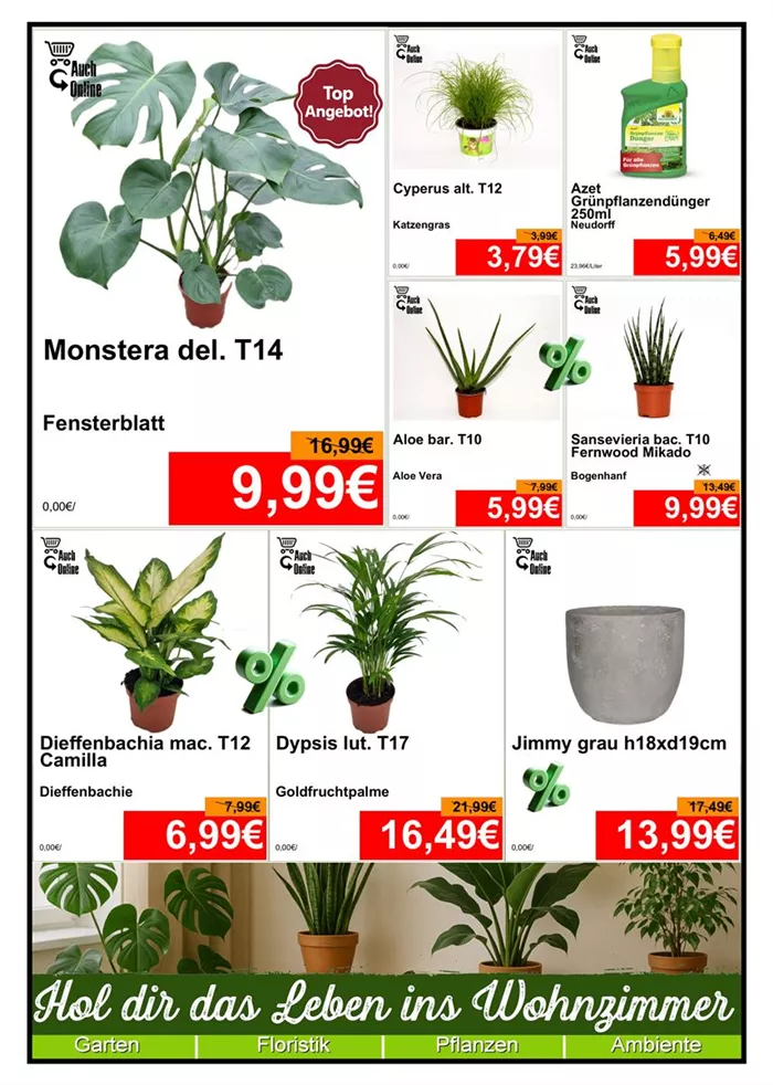 Zimmerpflanze - Din A4 Beilage - 1x1174 + 3 x 779 + 4x587 - 1.jpg
