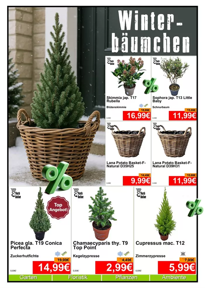 Bäumchen - Din A4 Beilage - 4 x 572px + 3x 779px - 1.jpg