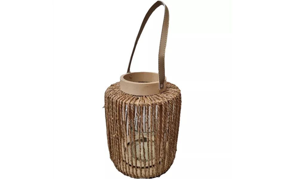 Lofty Latern Grass Round D19H26