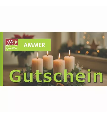 Geschenk Gutschein Winter