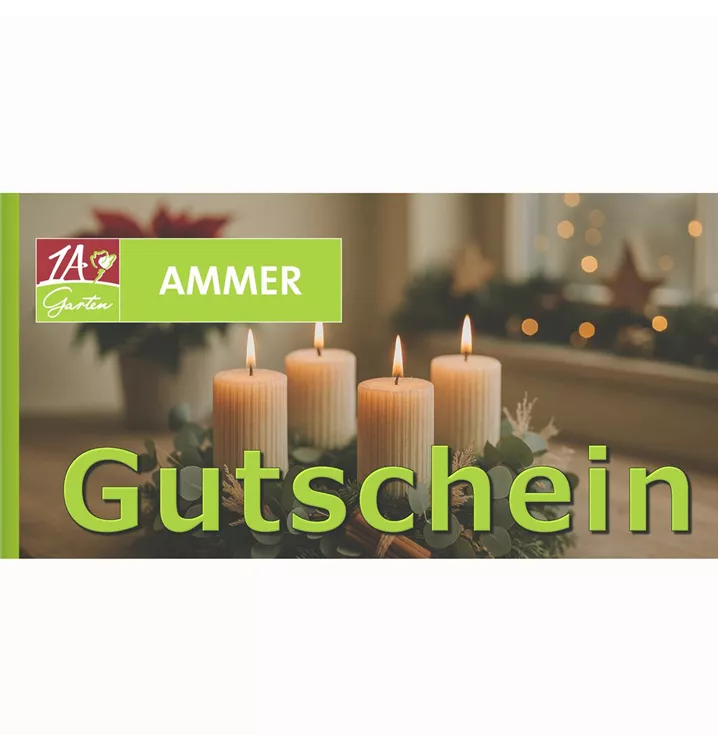 Gutschein zum abholen im Geschäft oder Versand per Post