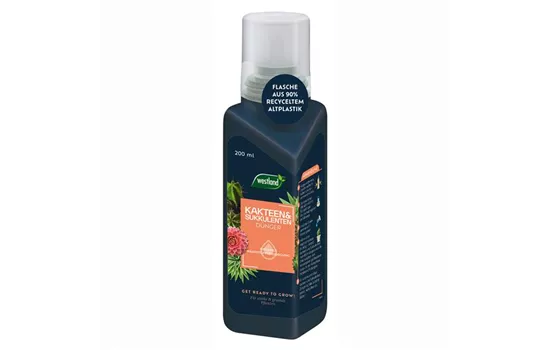 Kakteen-& Sukkulentendünger