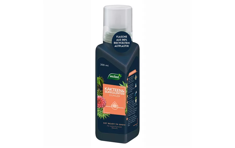 Kakteen-& Sukkulentendünger