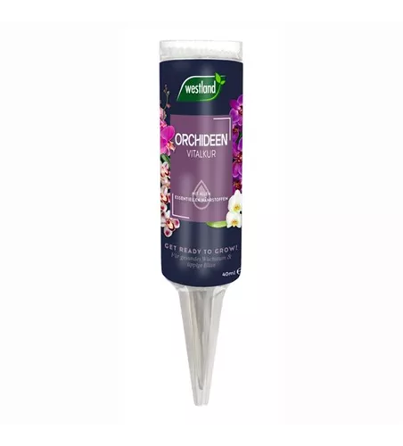 Vitalkur Orchideen