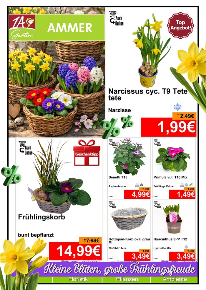 Saisonpflanze - Din A4 Beilage - Titelseite 2 - 1 x 1138px + 1 x 1081 + 4x 538px. - 1.jpg