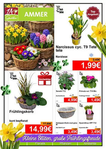 Unsere Aktuelle Monats-Aktion gültig im Januar