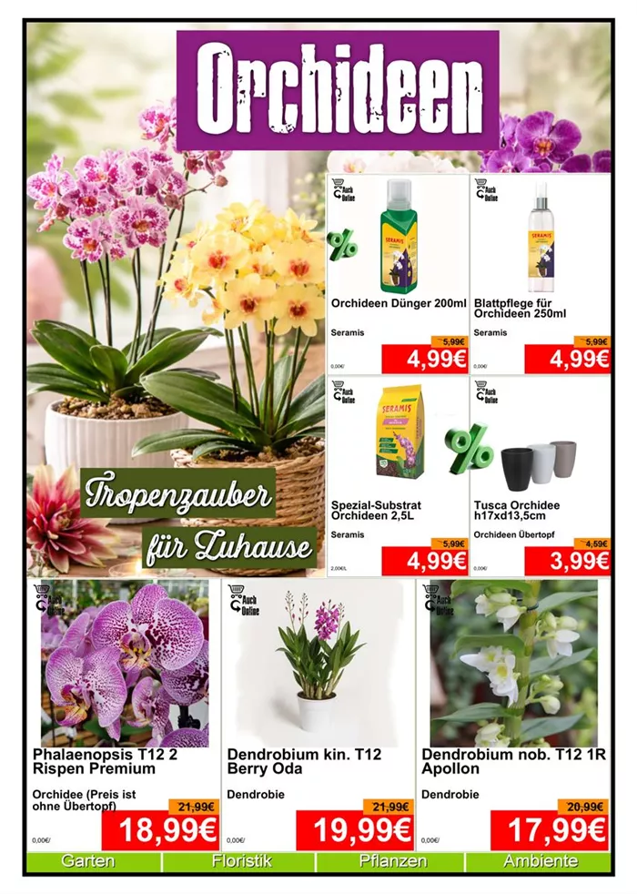 Orchidee 1 - Din A4 Beilage - 4 x 572px + 3x 779px - 1.jpg