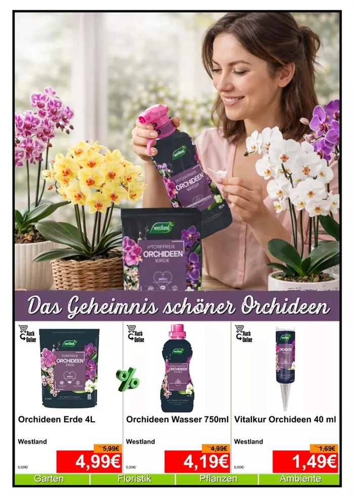 Orchidee 2 - Din A4 Beilage - 3x 779px - 1.jpg